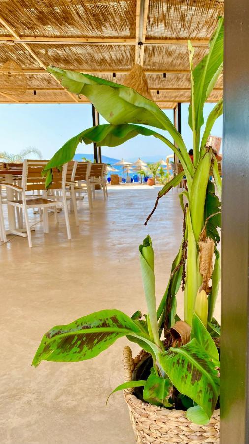 Zoom Beach Hotel カンディア エクステリア 写真